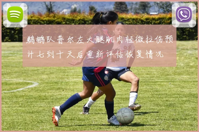 鹈鹕队普尔左大腿肌肉轻微拉伤预计七到十天后重新评估恢复情况